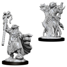 D&D: Nolzur's Marvelous Minis: Female Dragonborn Sorcerer W8 (Unpainted)