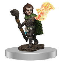 Pathfinder: Battles Miniatures: Premium Painted Figure: Male Gnome Druid - Cats In Hat Inc.