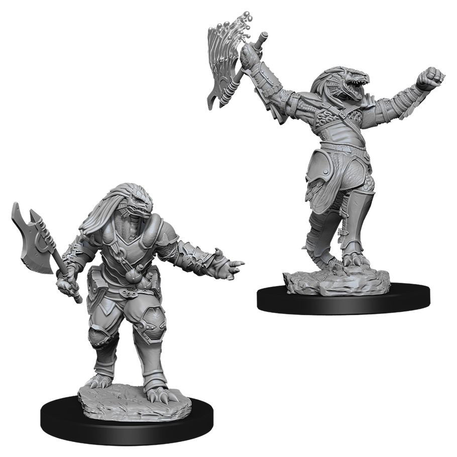D&D: Nolzur's Marvelous Minis: Female Dragonborn Fighter W11 (Unpainted)