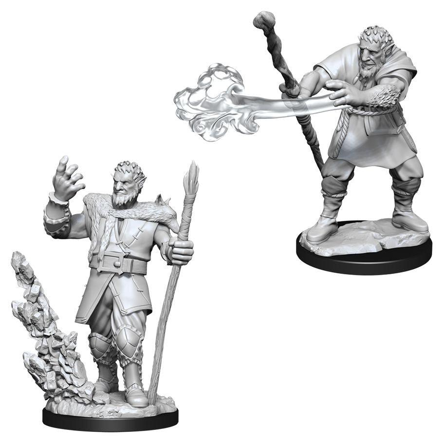 D&D: Nolzur's Marvelous Minis: Male Firbolg Druid W11 (Unpainted)