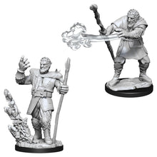 D&D: Nolzur's Marvelous Minis: Male Firbolg Druid W11 (Unpainted)
