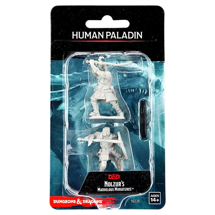D&D: Nolzur's Marvelous Minis: Human Paladin Male Wave 14 (Unpainted)